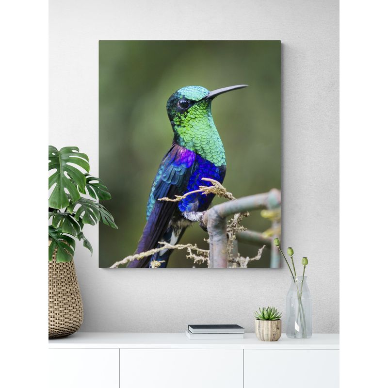 TAYRONA STORE - Cuadro En Lienzo Para Habitaciones Colibri 042 80x100cm