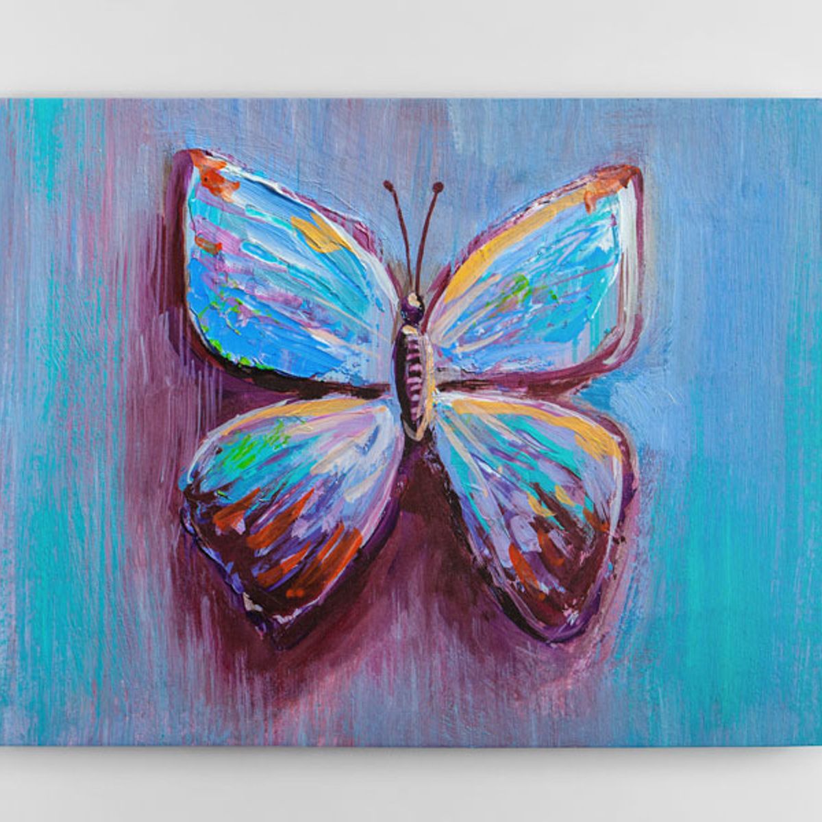 TAYRONA STORE - Cuadro En Lienzo Para Habitaciones Mariposa 60 100x80cm