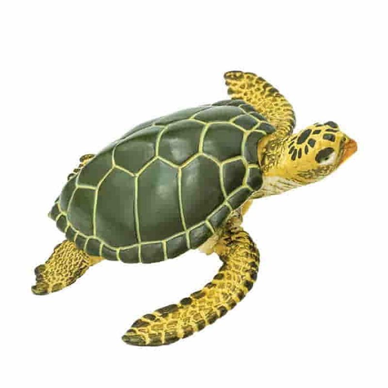 SAFARI - Figura Coleccionable Tortuga Verde Marina Safari