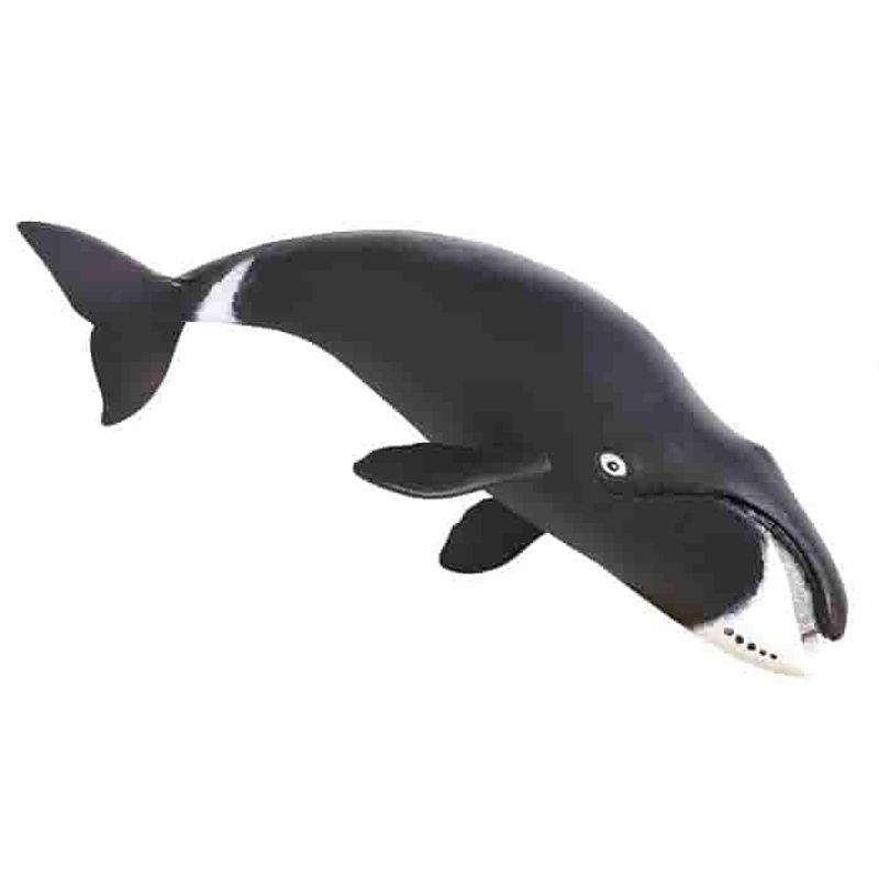 SAFARI - Figura Coleccionable Ballena Boreal Safari