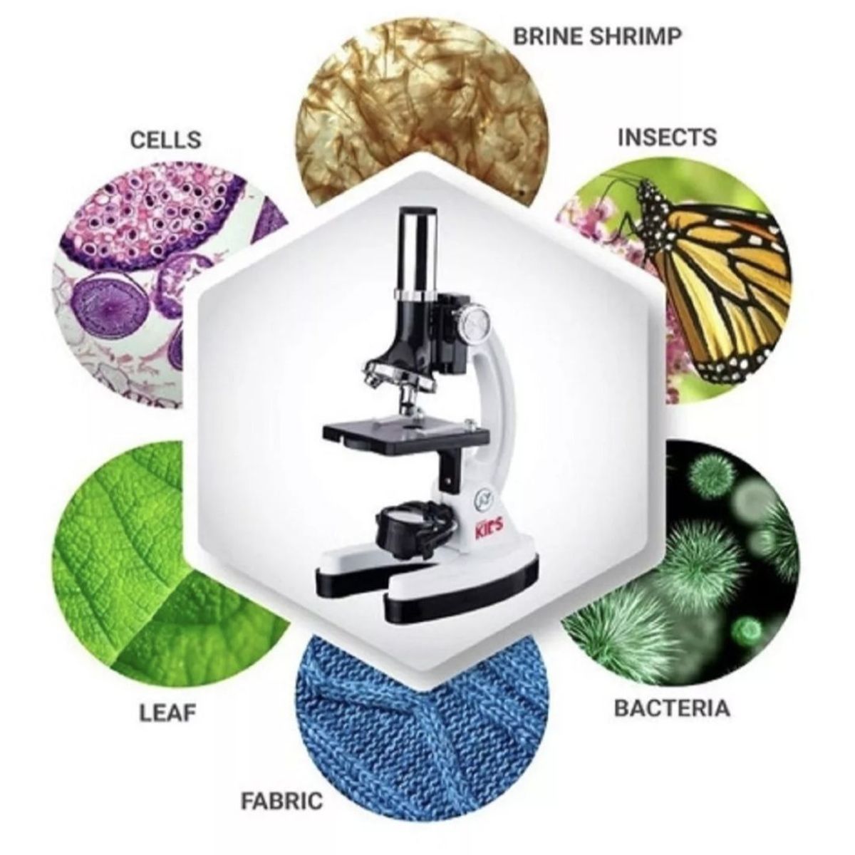 GENERICO - Microscopio Monocular Niños Didactico Amscope Kit 28 Piezas