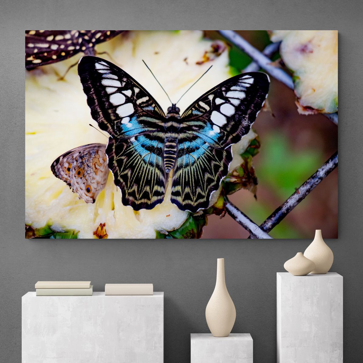 TAYRONA STORE - Cuadro En Lienzo Para Habitaciones Mariposas 223 70x50cm.