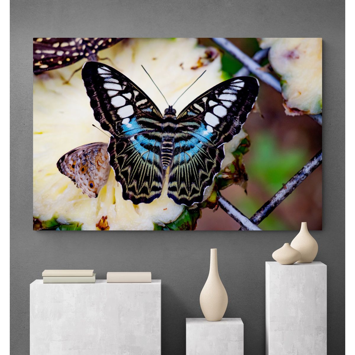 TAYRONA STORE - Cuadro En Lienzo Para Habitaciones Mariposas 223 70x50cm.