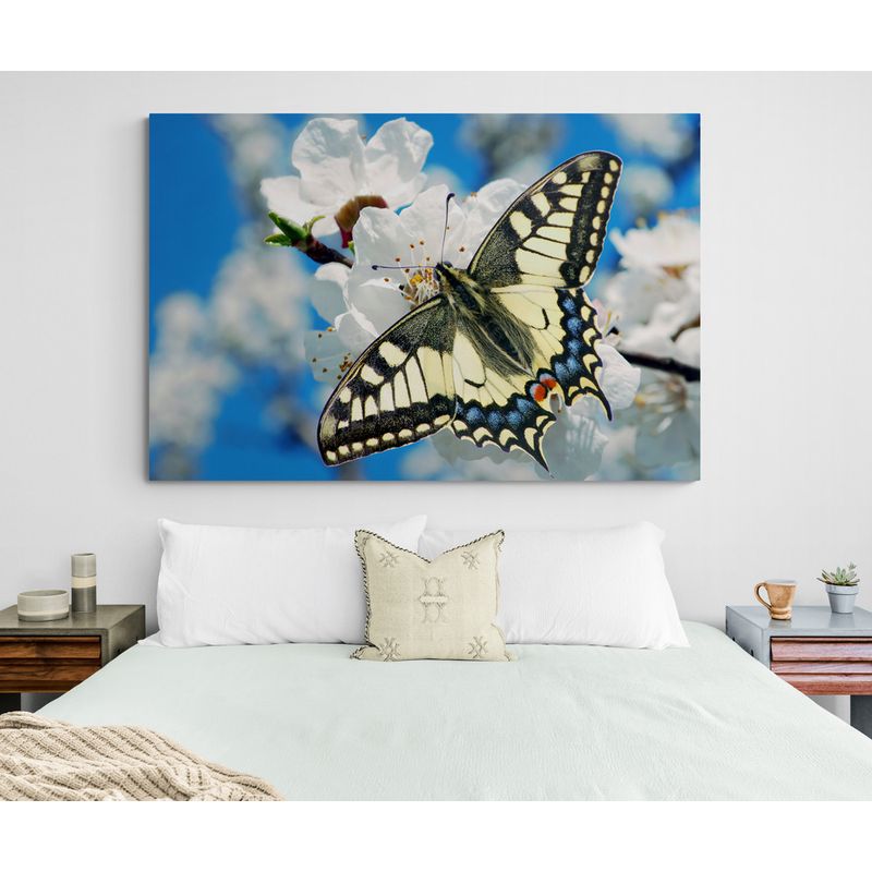 TAYRONA STORE - Cuadro En Lienzo Para Habitaciones Mariposas 207 70x50cm