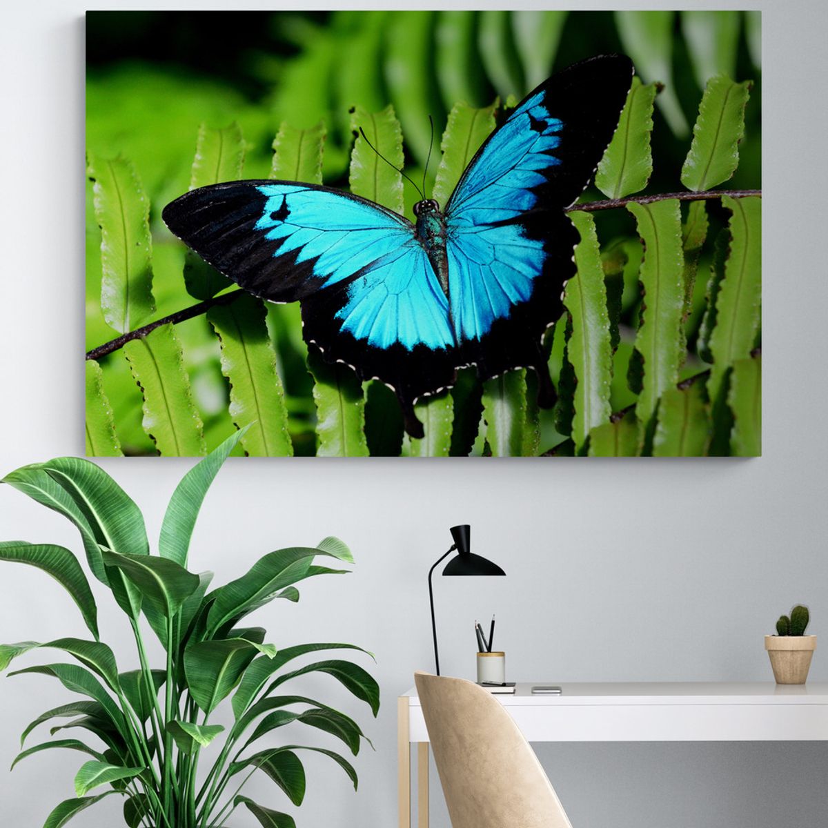 TAYRONA STORE - Cuadro En Lienzo Para Habitaciones Mariposas 232 100x70cm