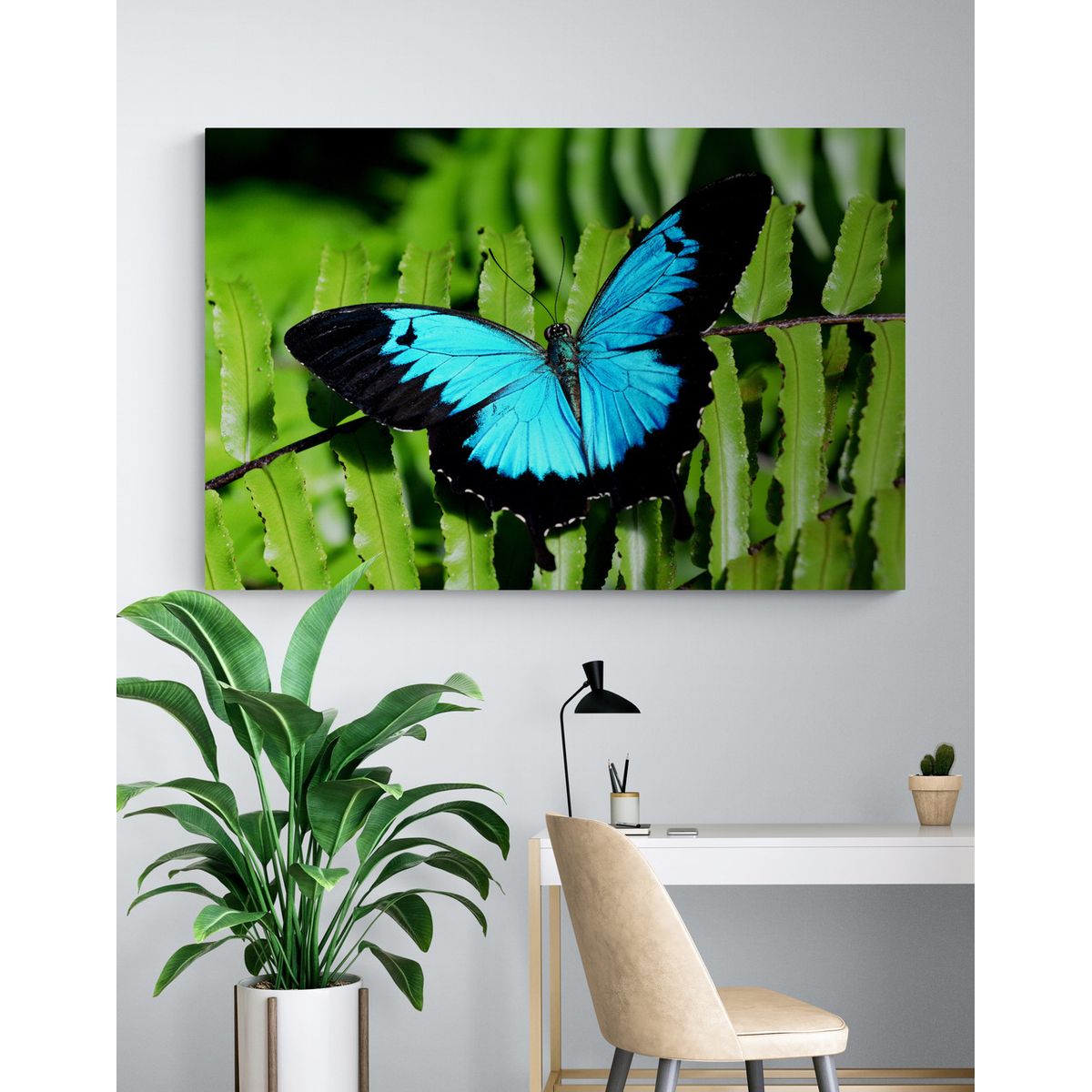 TAYRONA STORE - Cuadro En Lienzo Para Habitaciones Mariposas 232 100x70cm