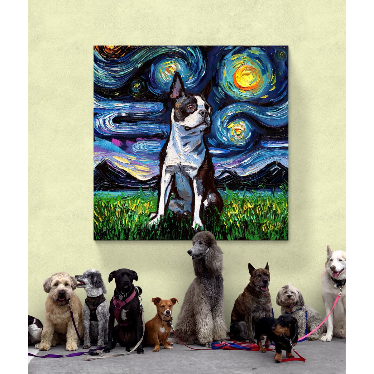 TAYRONA STORE - Cuadro Lienzo Habitacion Noche Estrellada Perro Boston Terrier 70x70cm