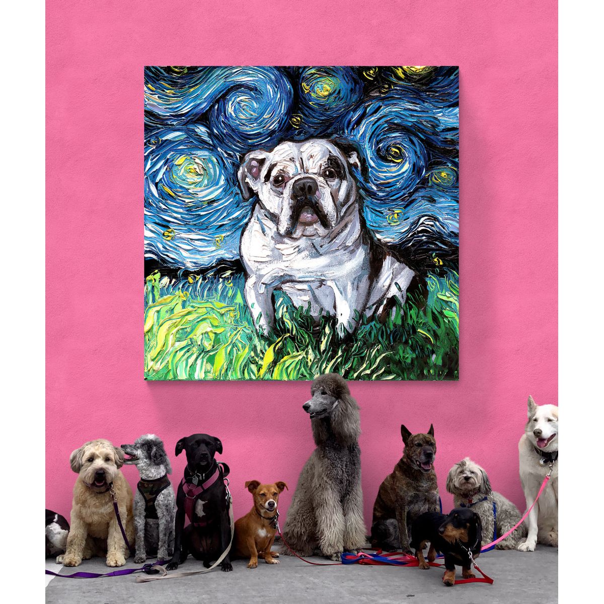 TAYRONA STORE - Cuadro Lienzo Habitacion Noche Estrellada Perro Bulldog Frances 01 60x60cm