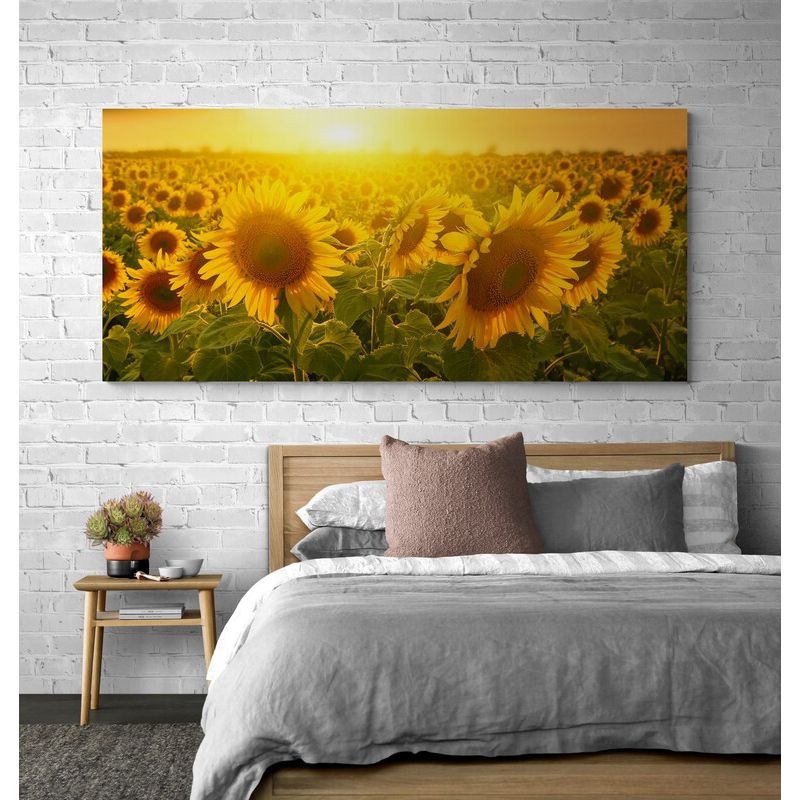 TAYRONA STORE - Cuadro En Lienzo Para Habitaciones Girasoles 008 150x70cm