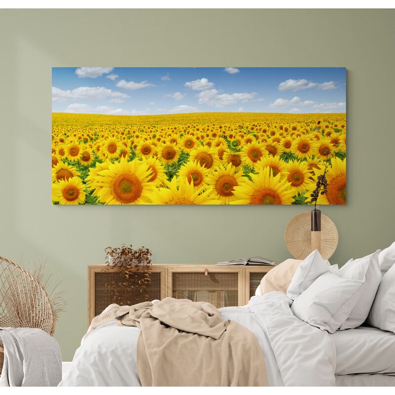 TAYRONA STORE - Cuadro En Lienzo Para Habitaciones Girasoles 013 150x70cm