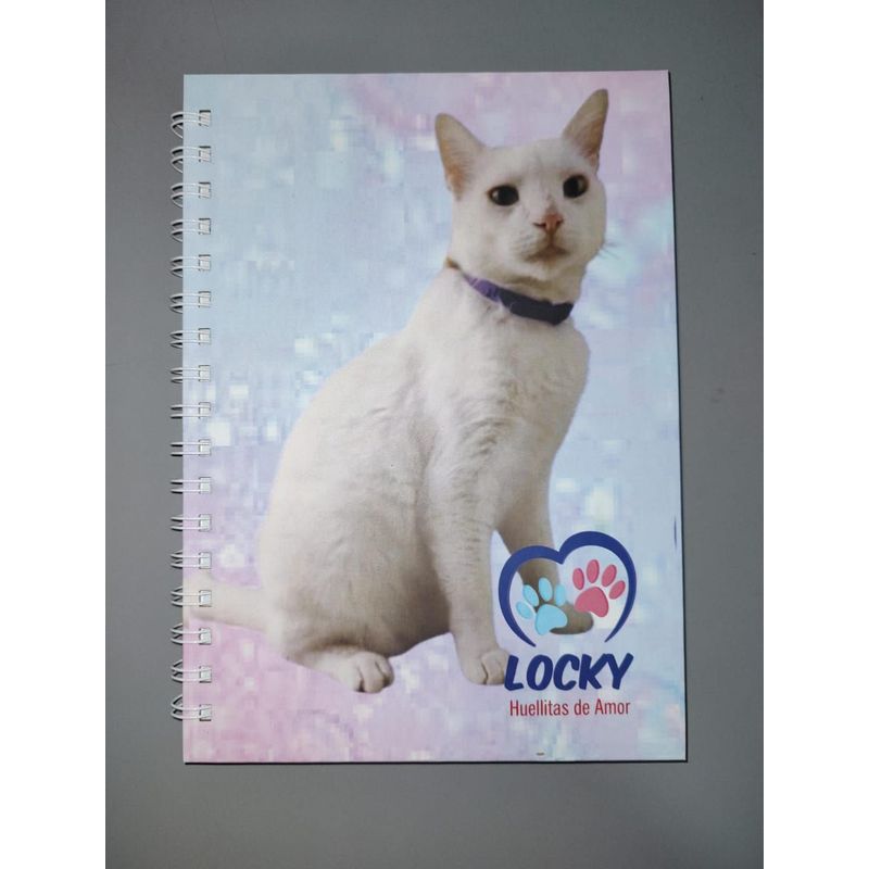 GENERICO - CUADERNO ARGOLLADO LOCKY HUELLITAS DE AMOR REF 3 80 HOJAS
