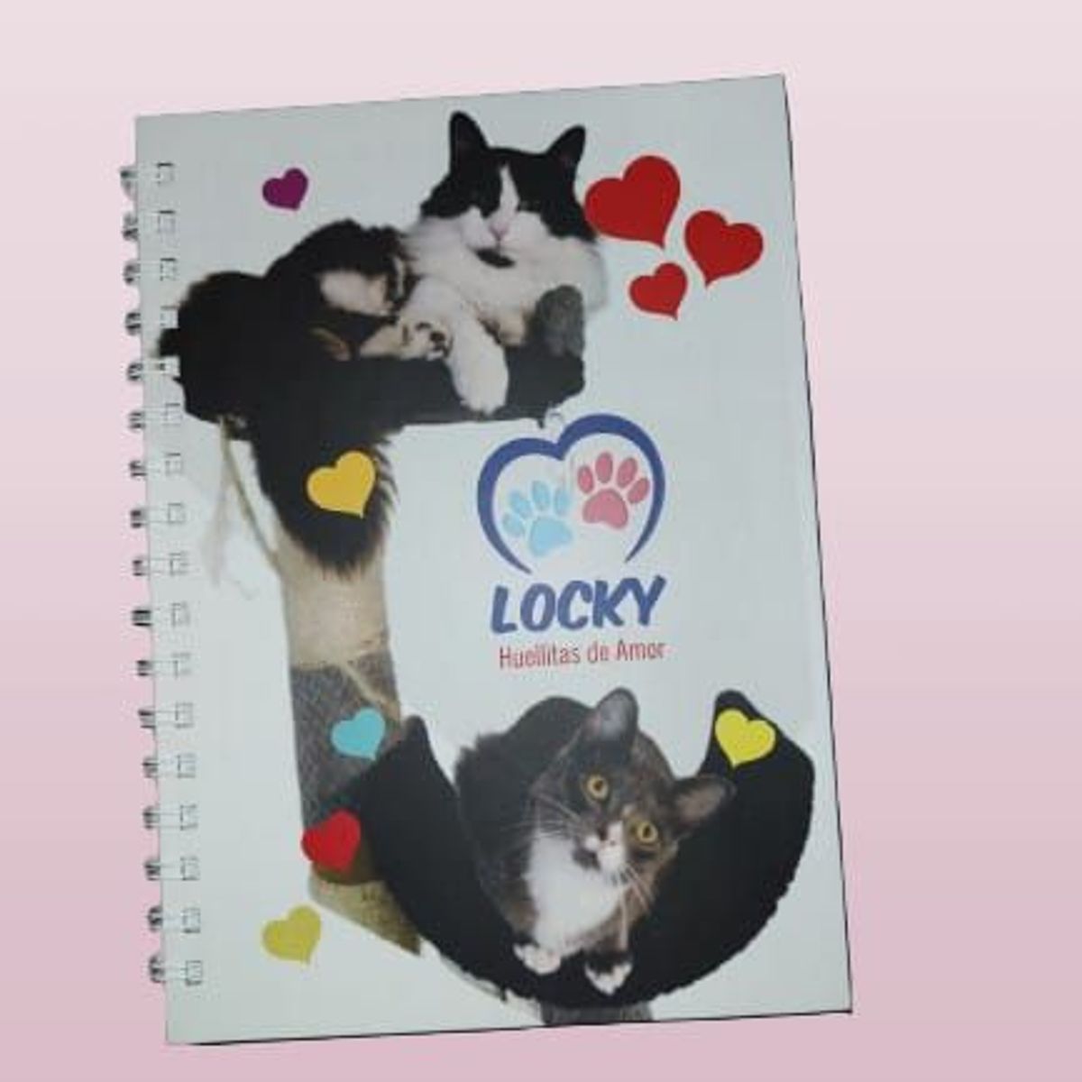 GENERICO - CUADERNO ARGOLLADO  LOCKY HUELLITAS DE AMOR REF 5 80 HOJAS