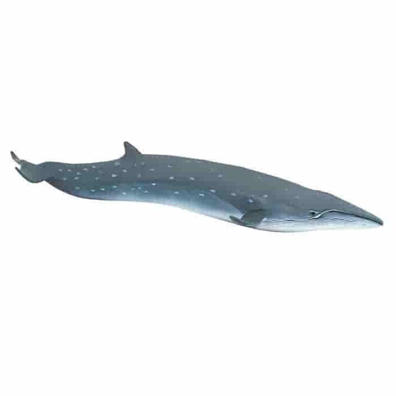 SAFARI - Figura Coleccionable Ballena Rorcual Boreal Safari
