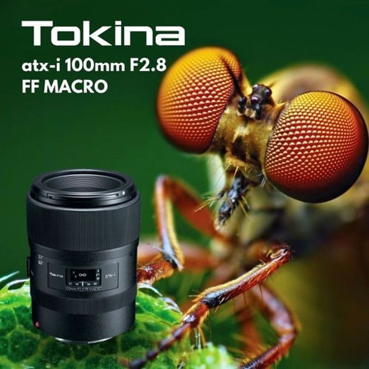 TOKINA - Lente Tokina Atx-i 100mm F28 Ff Macro Para Canon Ef