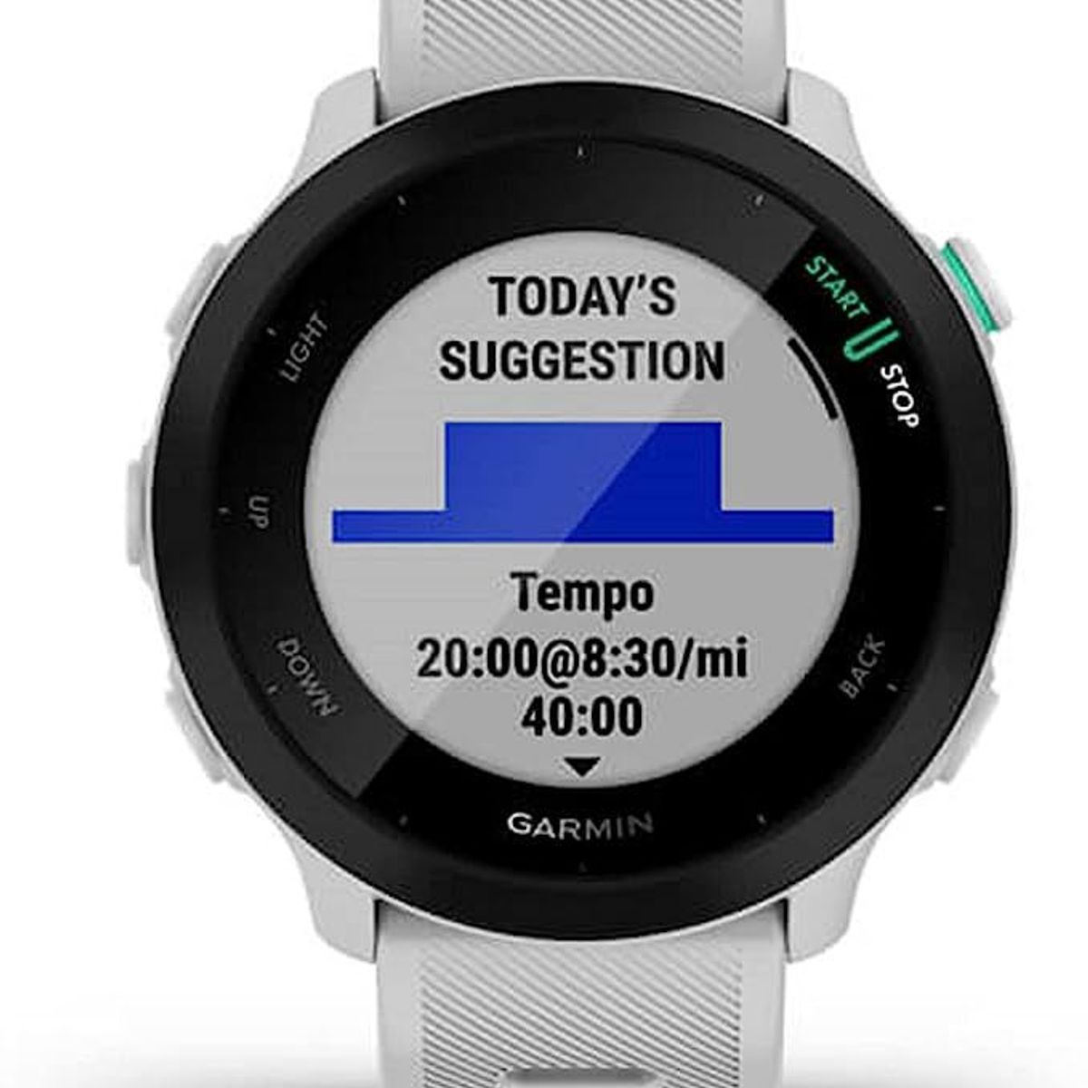 GARMIN - Reloj Garmin Forerunner 55 Blanco