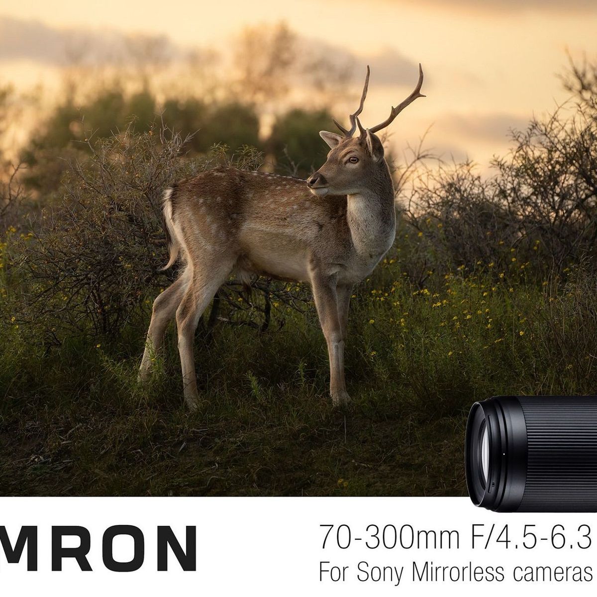TAMRON - Lente Tamron 70-300mm F45-63 Di Iii Rxd Para Sony E