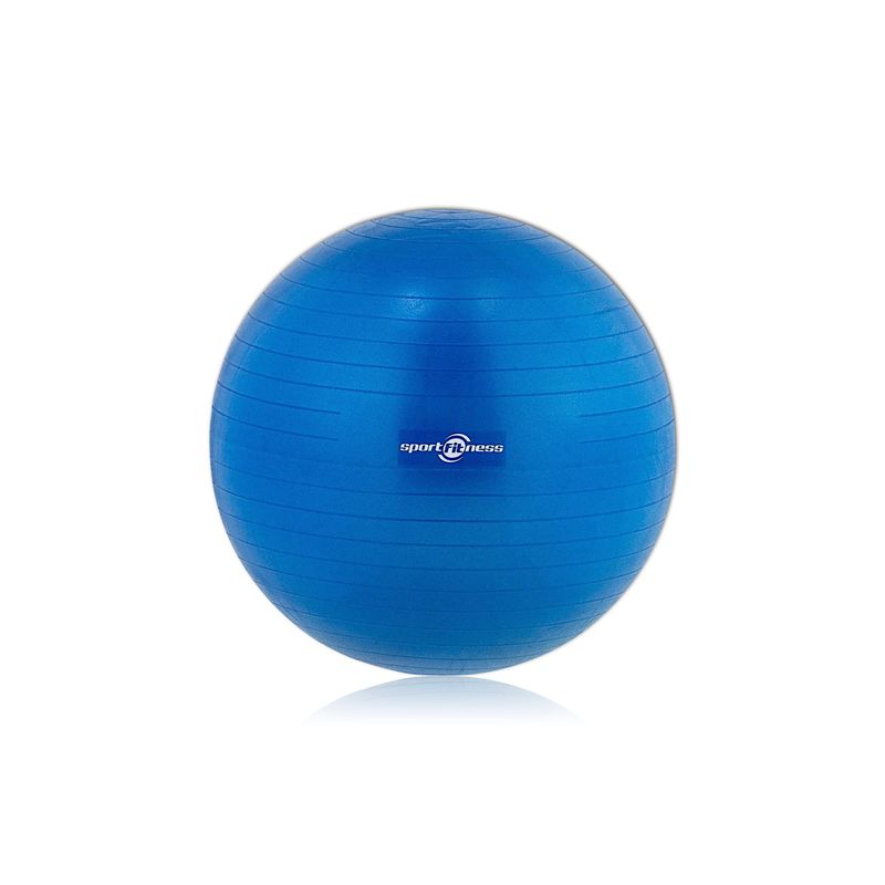 SPORT FITNESS - BALÓN FITBALL DE GIMNASIA 65CM