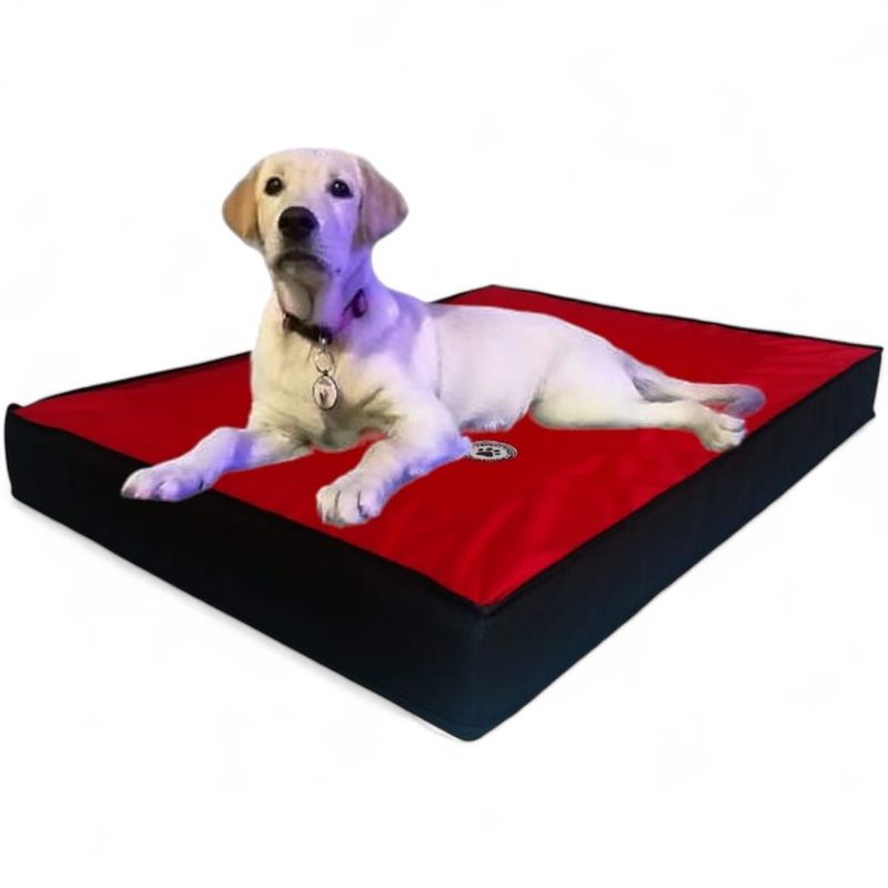 GENERICO - Colchoneta Para Perros 115 x 80 x 10 cm color Rojo