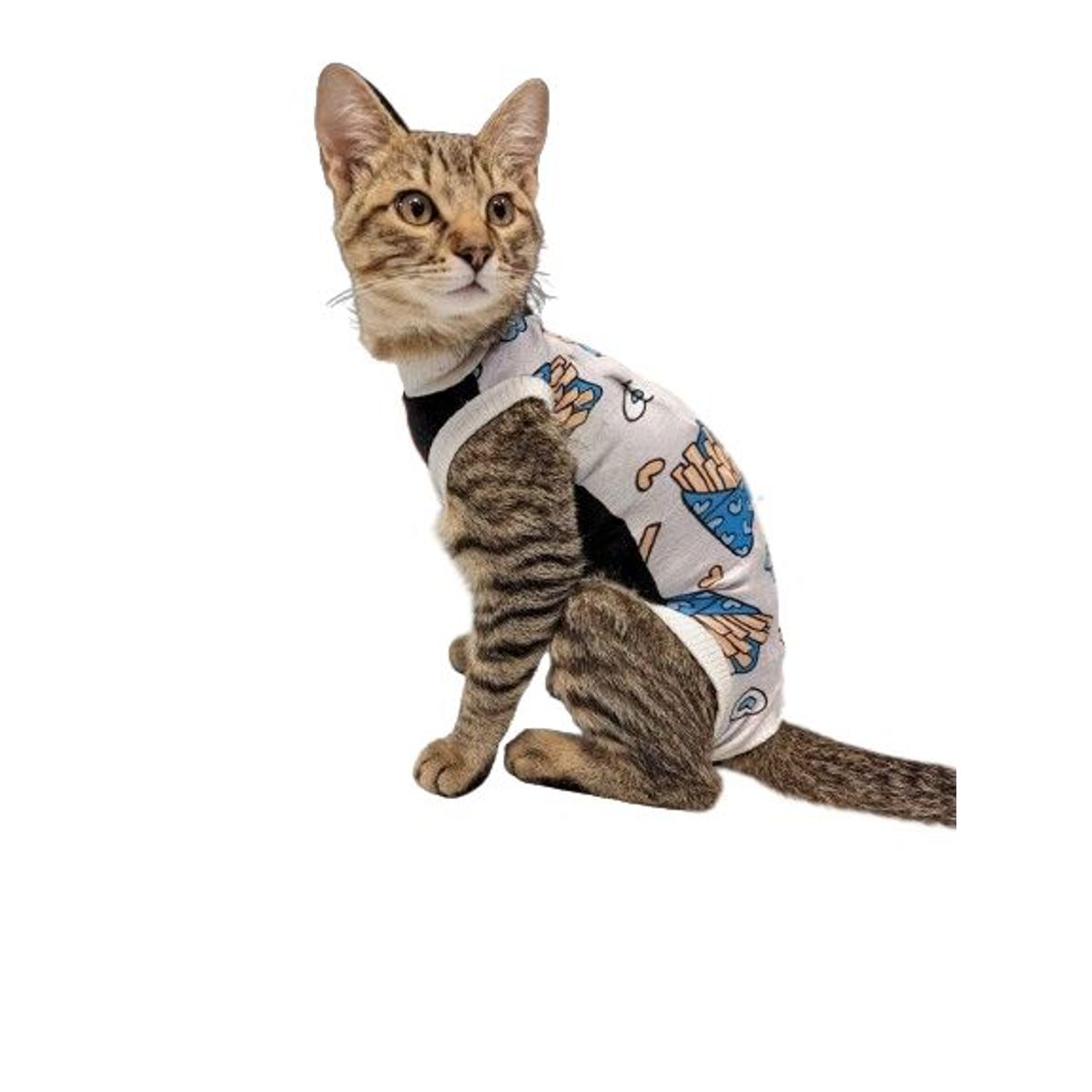 GENERICO - FAJA POSTQUIRUGICA PARA GATA talla S