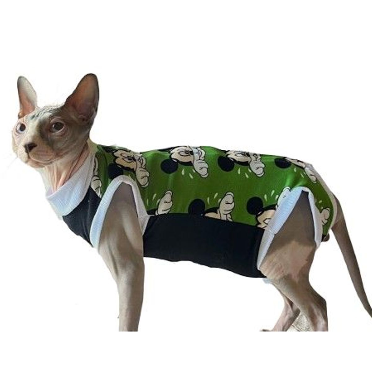 GENERICO - FAJA POSTQUIRUGICA PARA GATA talla S