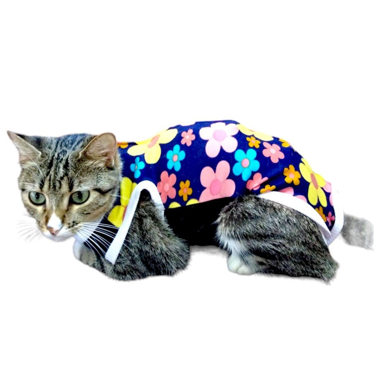 GENERICO - FAJA POSTQUIRUGICA PARA GATA talla M