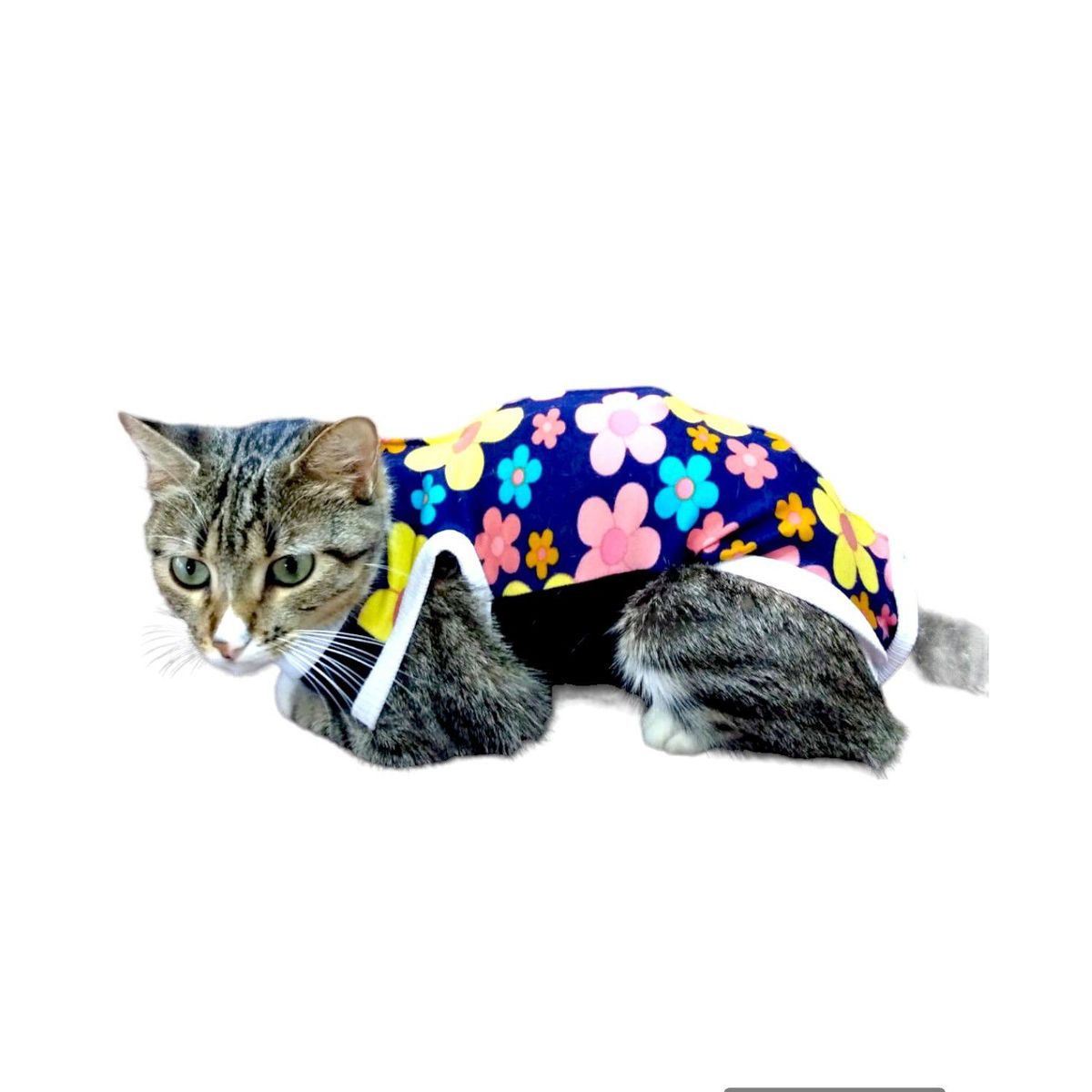 GENERICO - FAJA POSTQUIRUGICA PARA GATA talla M