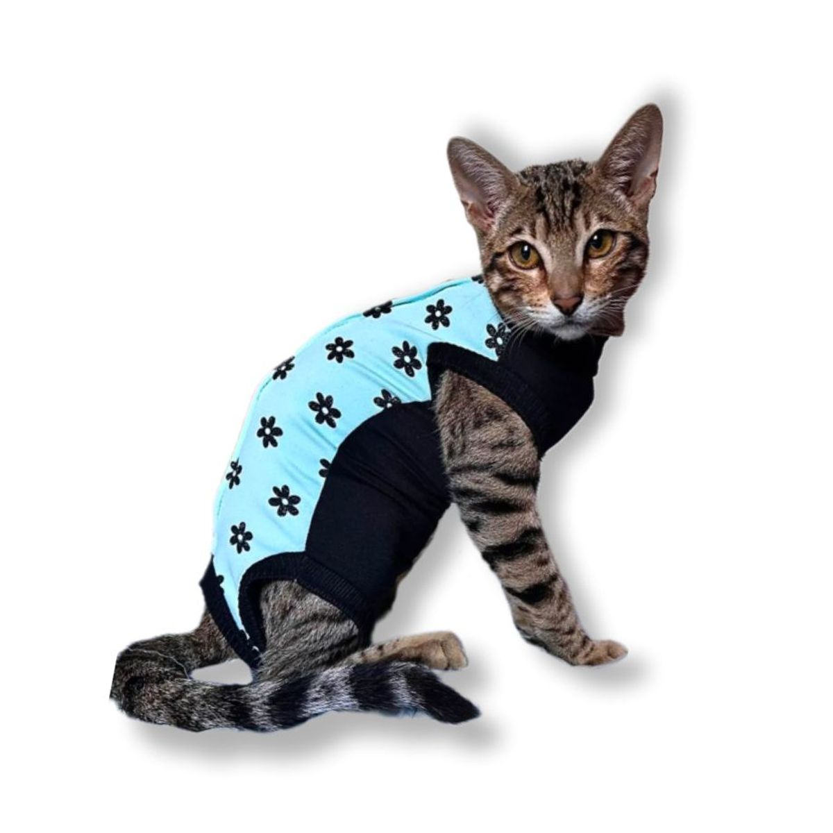 GENERICO - FAJA POSTQUIRUGICA PARA GATA talla M