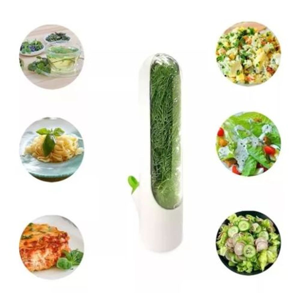 AFM - Recipiente Contenedor Conservador Hierbas