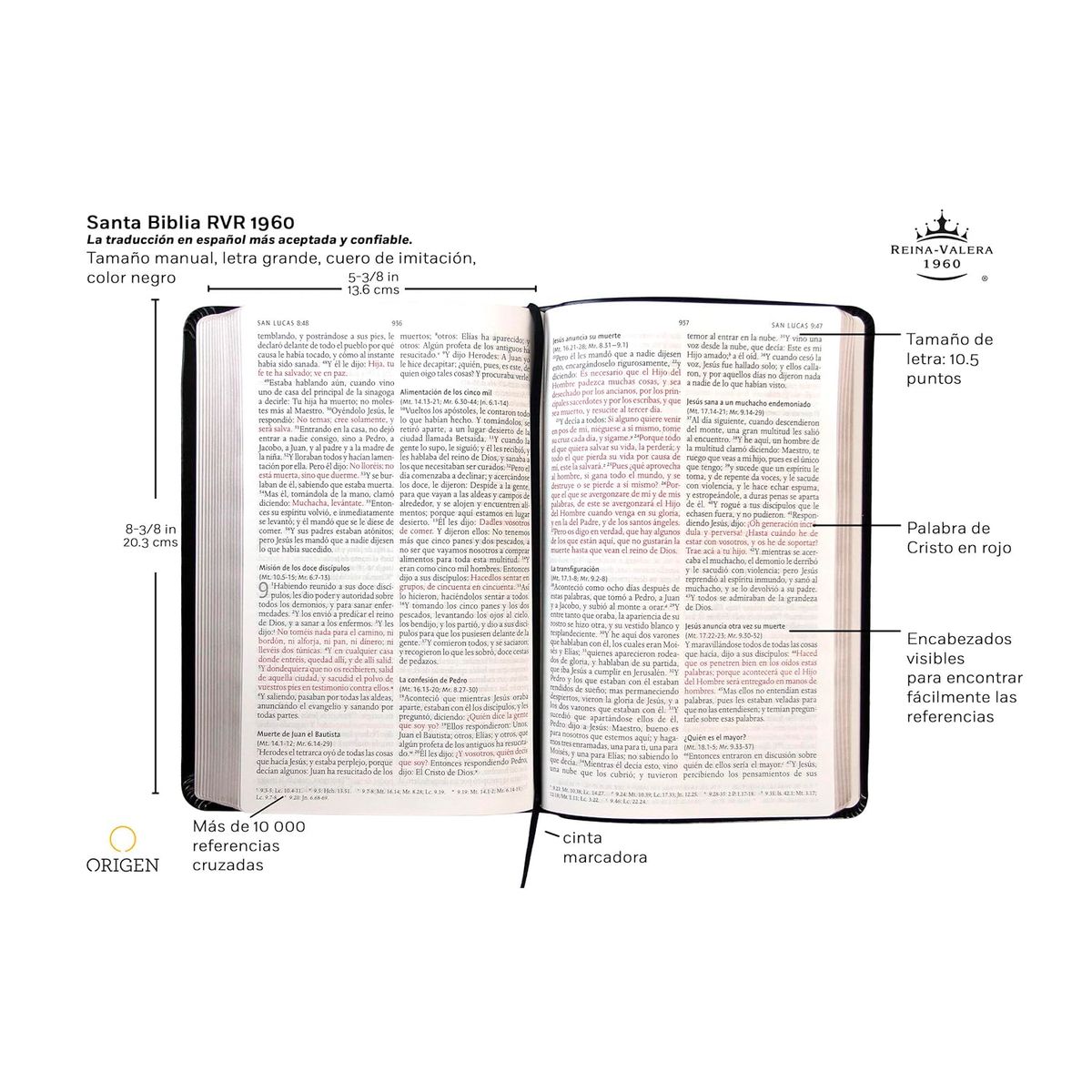 GENERICO - Santa Biblia Rvr 1960. Letra Grande. Piel Negro