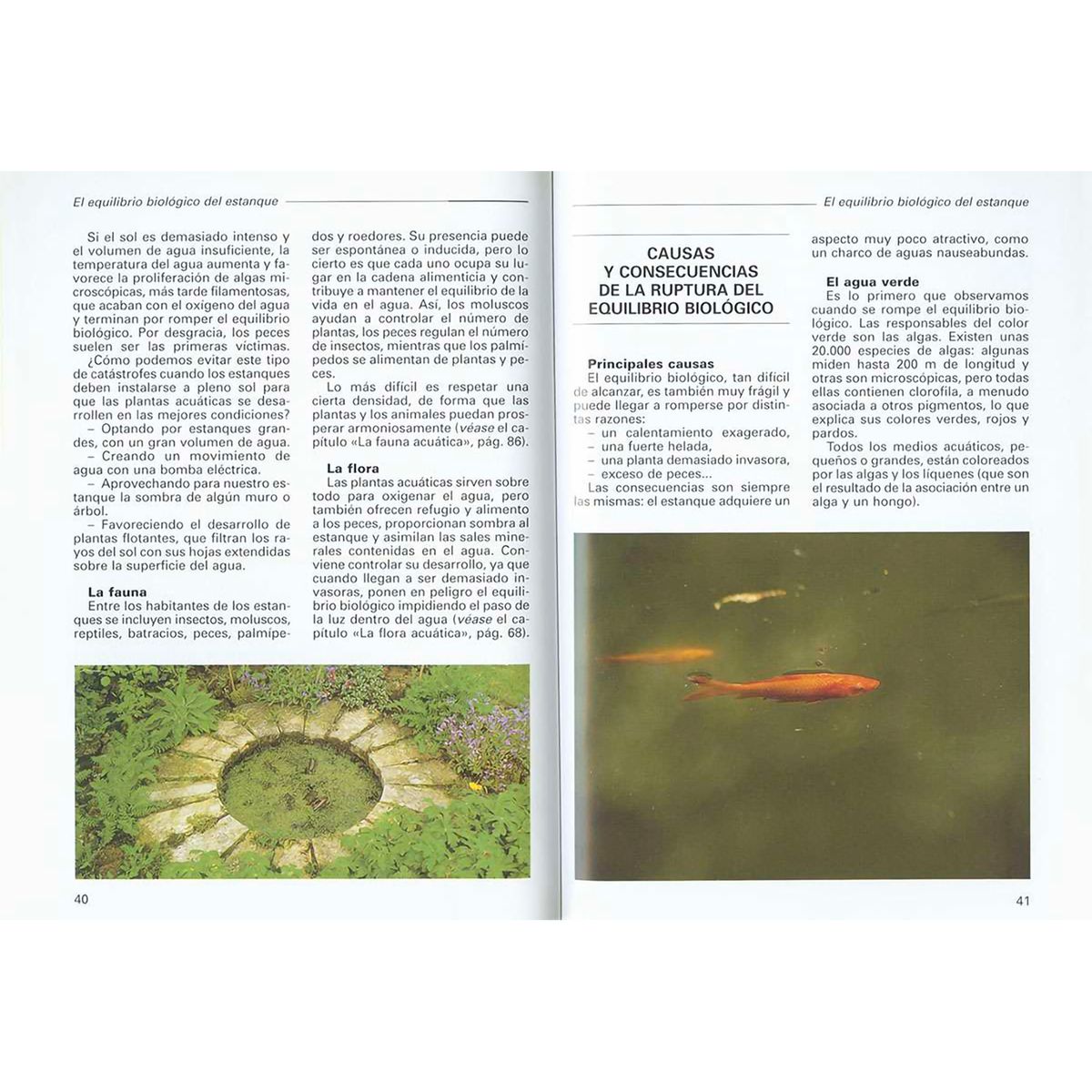 SUSAETA - Estanques Y Jardines Acuáticos