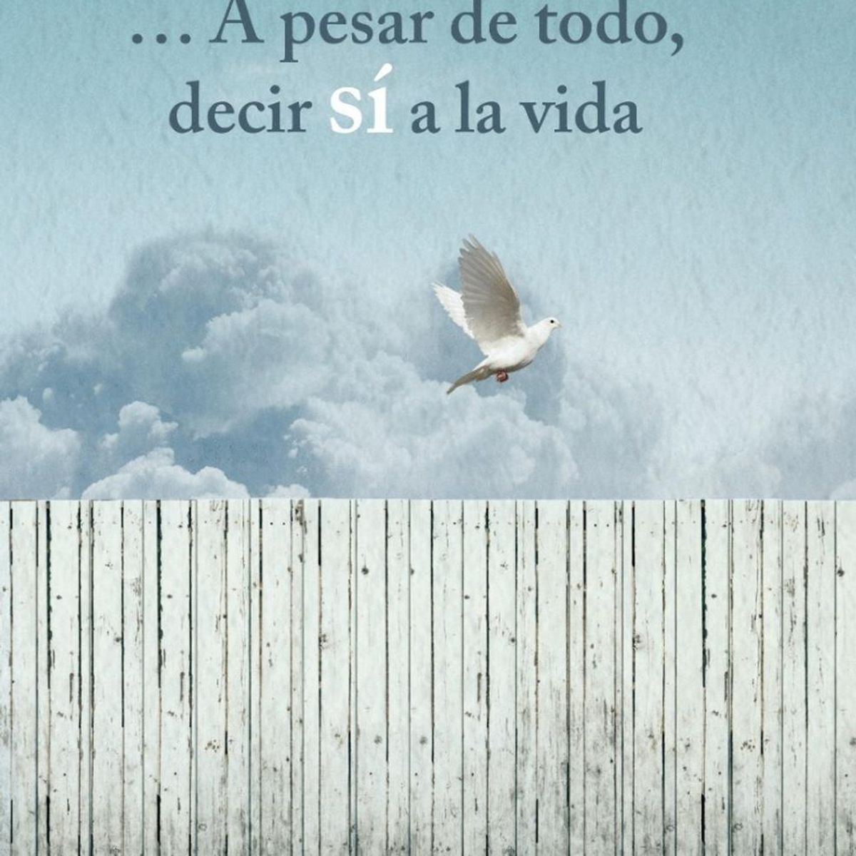 PLATAFORMA - A Pesar De Todo, Decir Sí A La Vida. Viktor E. Frankl
