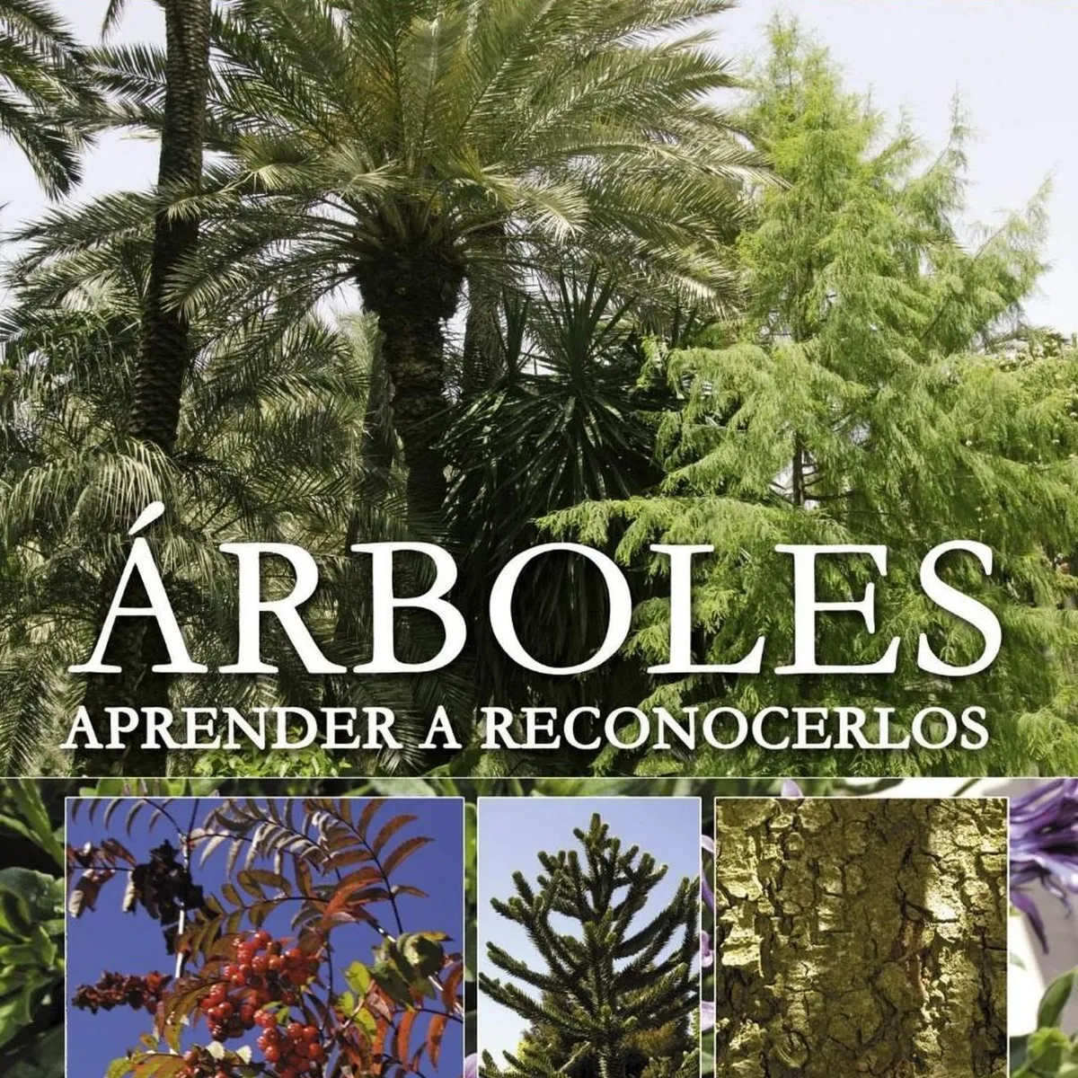 SUSAETA - Arboles. Aprender A Reconocerlos. Plantas De Jardín