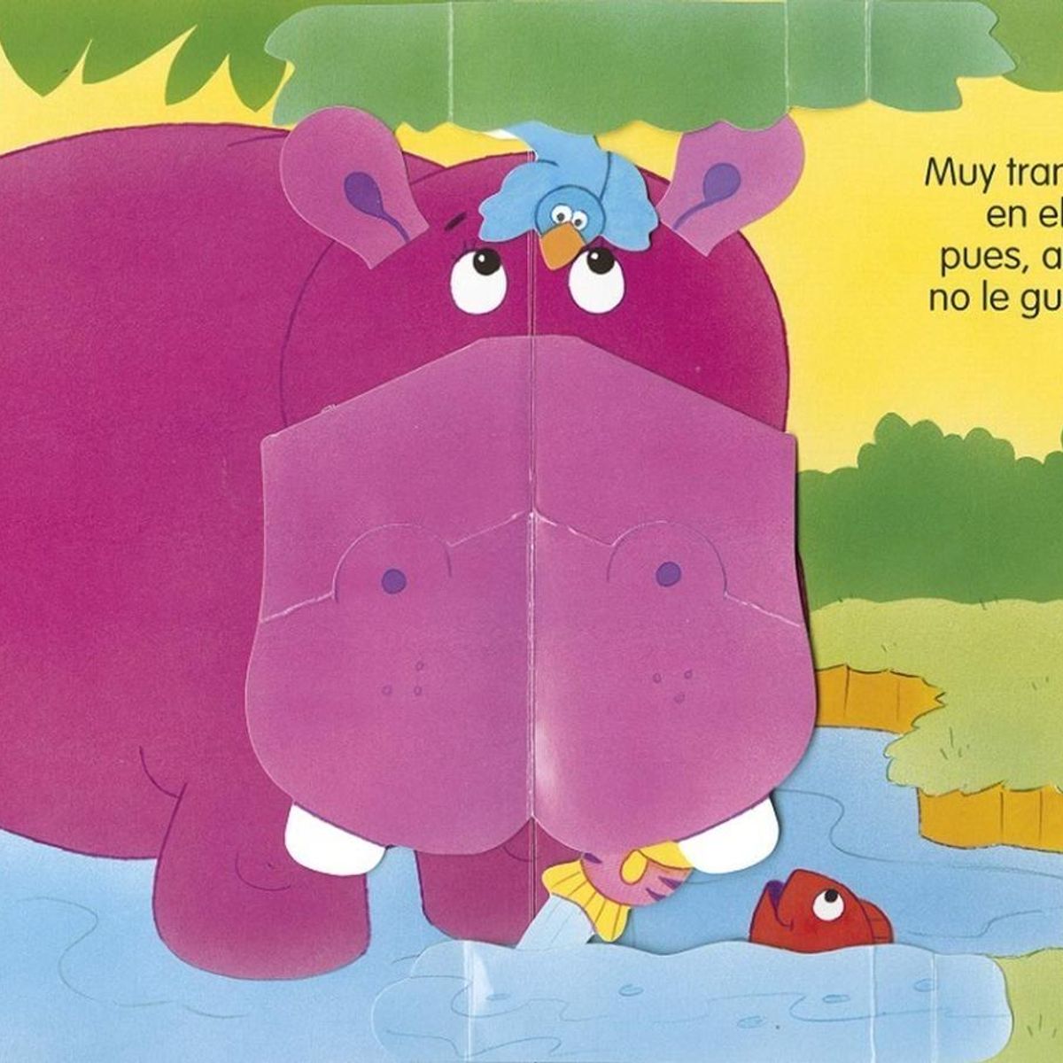 SUSAETA - La Selva. Libros Vivos