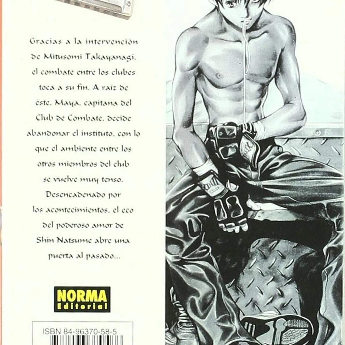 EDITORIAL NORMA - Del Cielo Al Infierno No. 4
