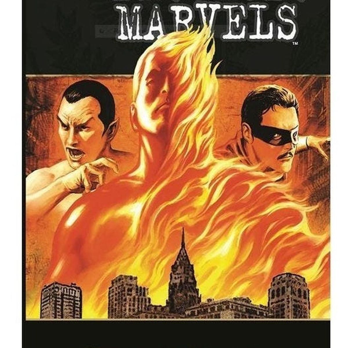 PANINI - El Proyecto Marvels (t.d)