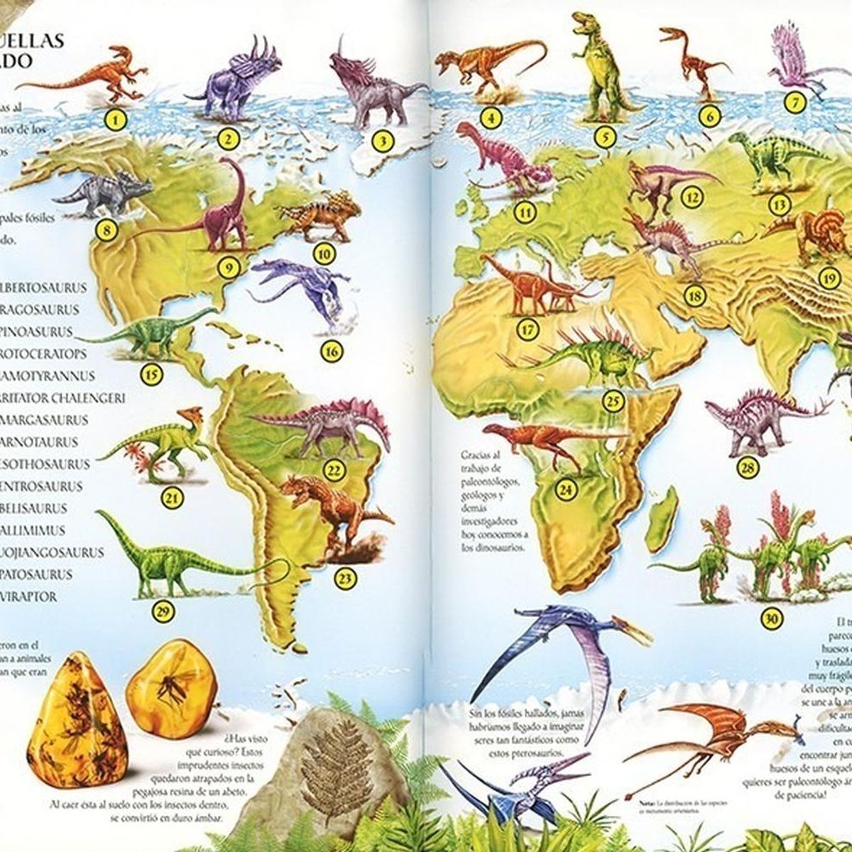 SUSAETA - Atlas De Dinosaurios, Animales Prehistóricos Y Otro