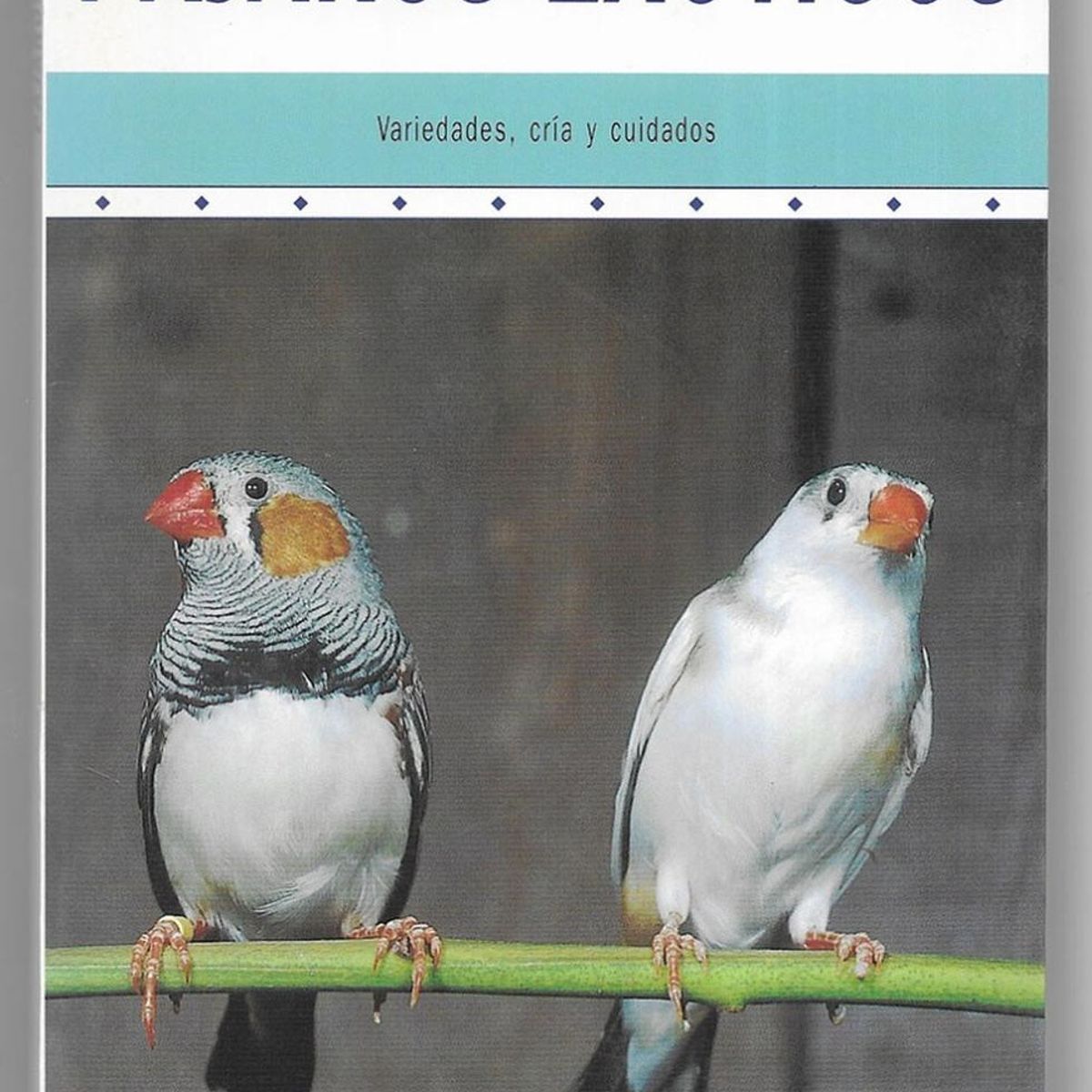 GENERICO - Pajaros Exoticos