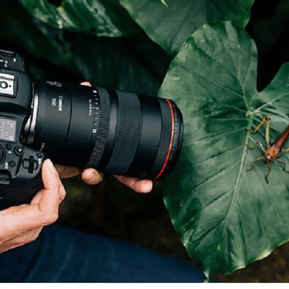 CANON - Lente Canon Rf 100mm F28 L Macro Is Usm