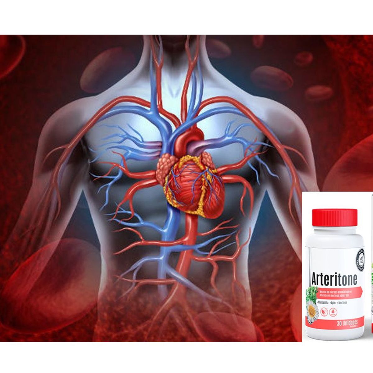 GENERICO - 3 ARTERITONE - NORMALIZA LA PRESION ARTERIAL