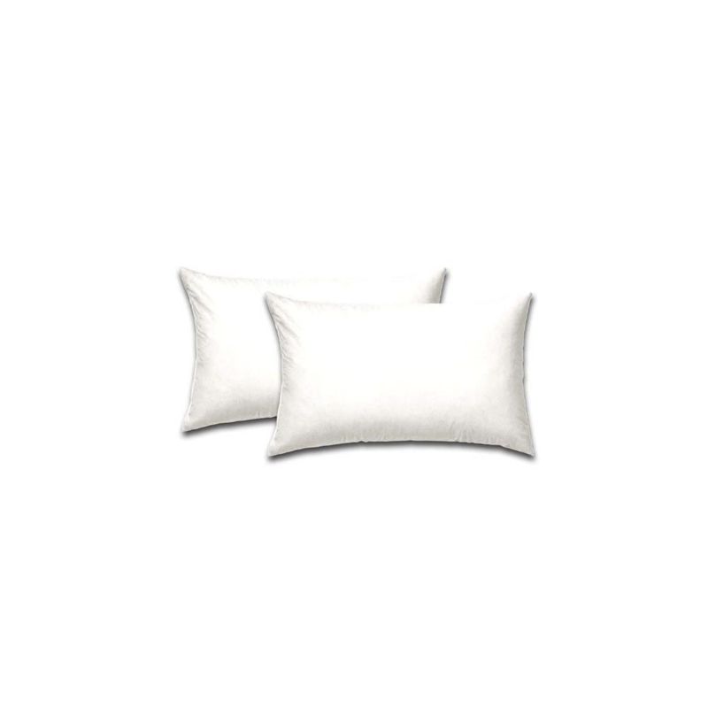 GENERICO - Rellenos Para Cojin 50x30 2 und