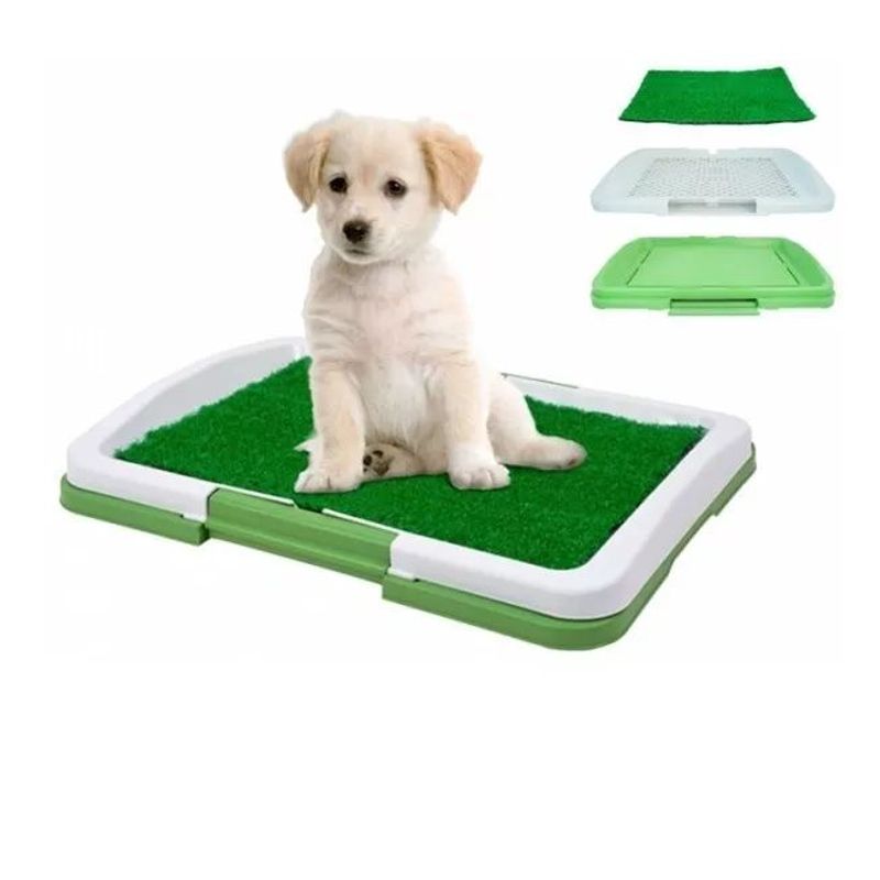 OTRAS MARCAS - Tapete Baño Entrenador Para Mascotas Ideal Apartamentos