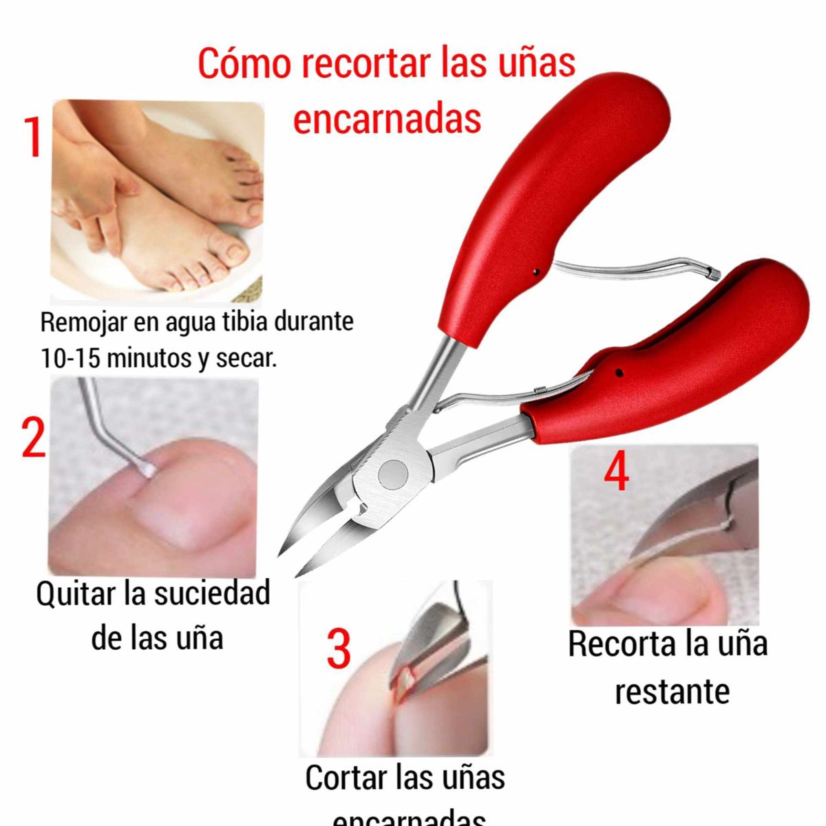 GENERICO - Cortauñas alicate pico de aguila para Uñas Encarnada Gruesa