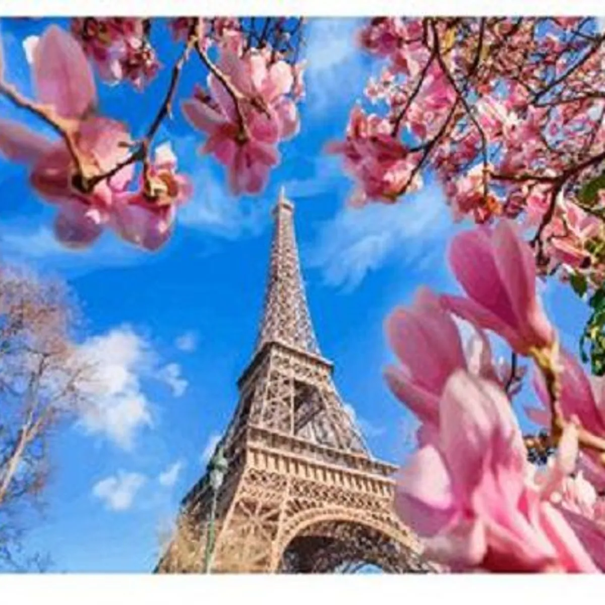 AGUGU STORE - Kit Para Pintar Por Números Lienzo 50x40cm