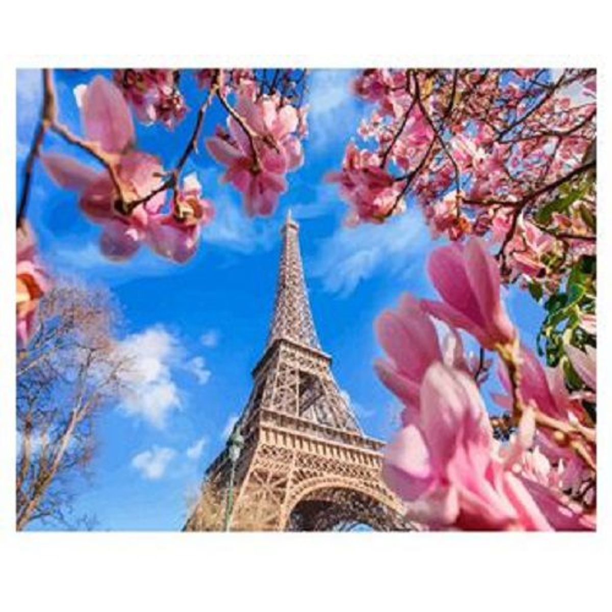 AGUGU STORE - Kit Para Pintar Por Números Lienzo 50x40cm