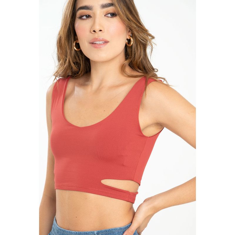 RAGGED - Crop top california Rojo persa Ragged