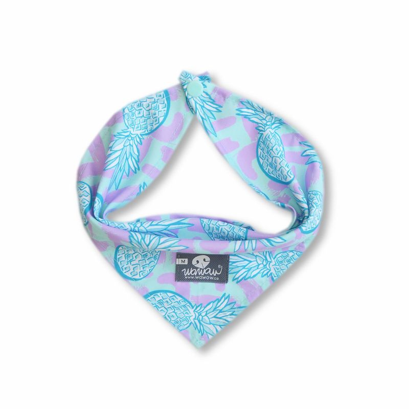 WAWAW - Pañoleta para perro talla M piñas lila y menta Wawaw
