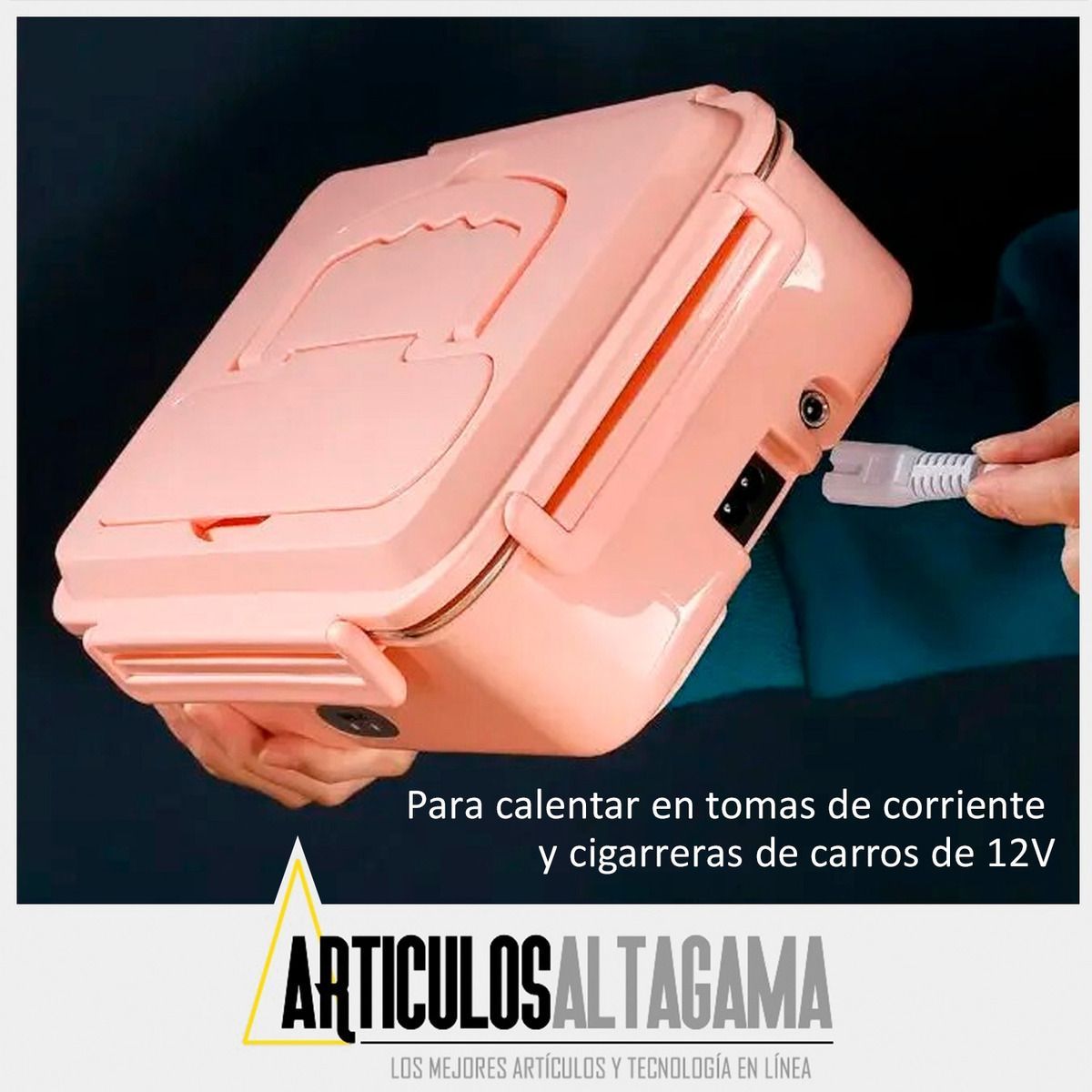ARTICULOSALTAGAMA - Lonchera Eléctrica Porta Comida Metálica Calienta a 110v  y en carro a 12v