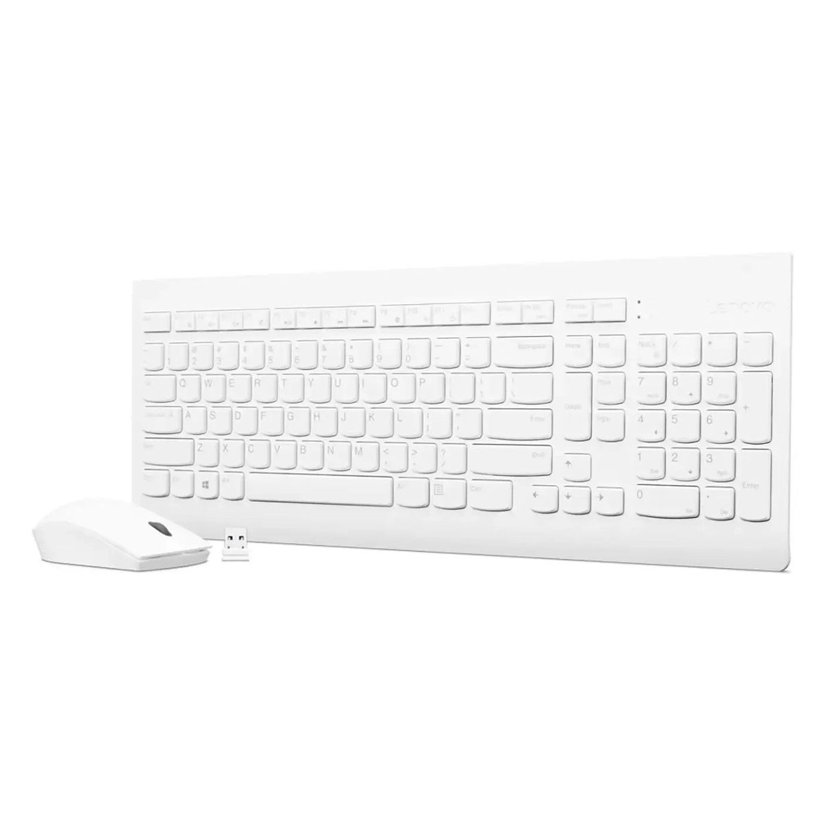 LENOVO - Combo Monitor Lenovo L24E-40 FHD +Teclado Mouse Inalámbrico 510 Blanco
