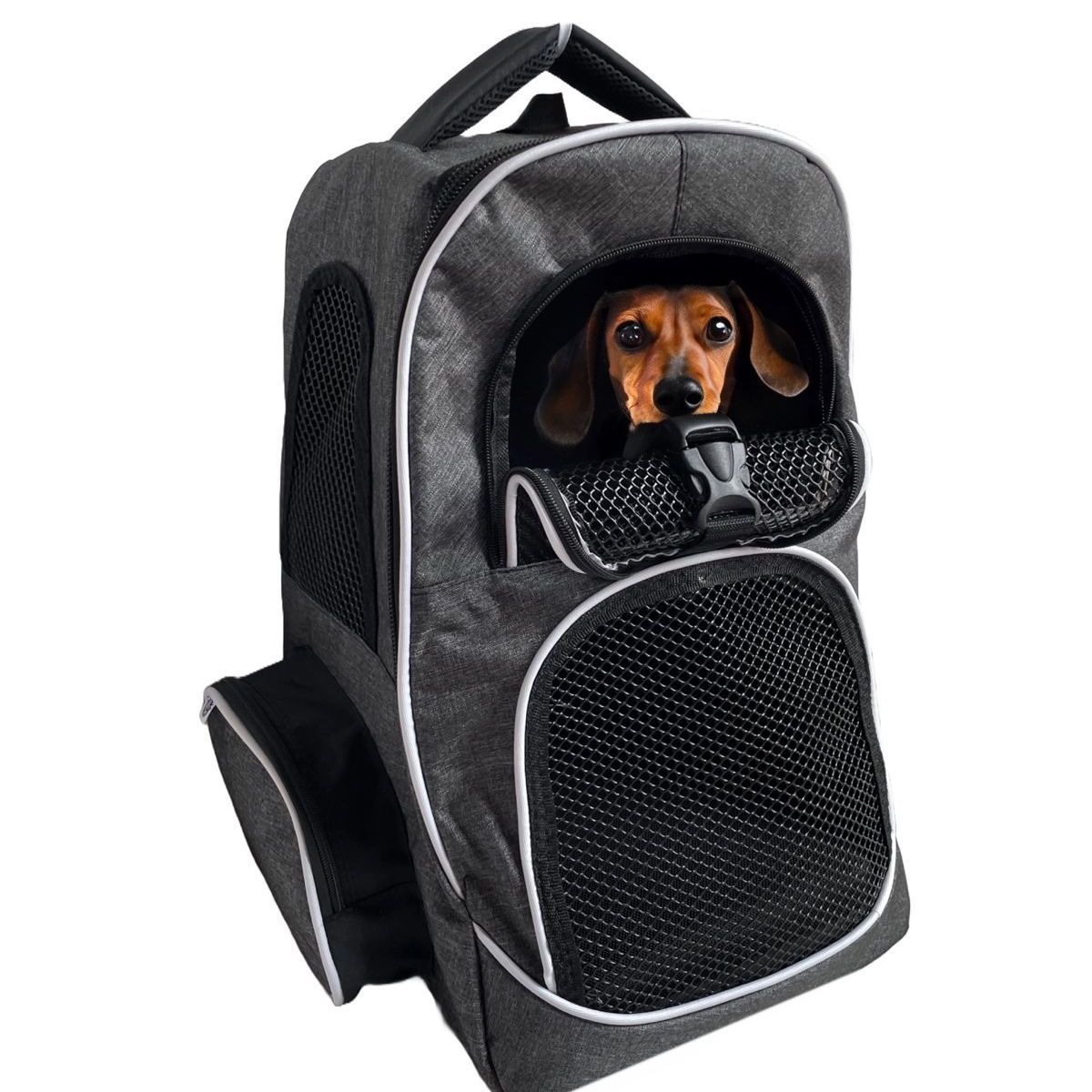GENERICO - Maleta morral para mascota gato o perro guacal