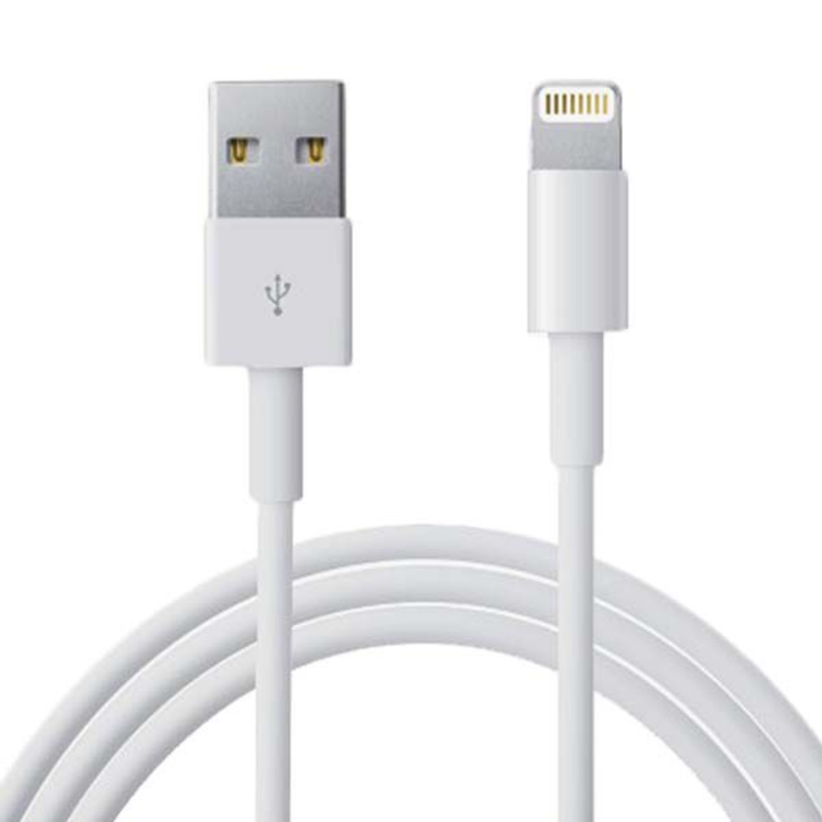 GENERICO - Cable Usb Lightning para iPhone 8 7 6s 6 Plus 5s 5c 5 bolsa